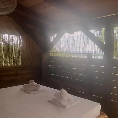 Marusina Olive Hills - Glamping & Minicamp 4* Punat