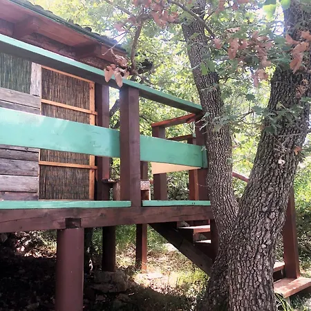 Marusina Olive Hills - Glamping & Minicamp 4* Punat