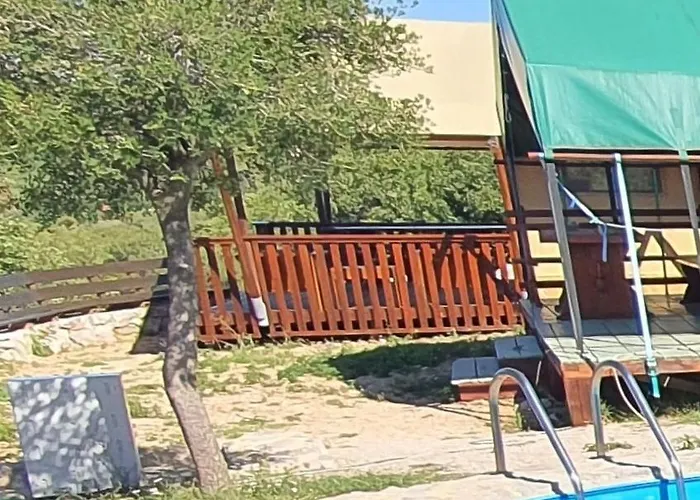 Marusina Olive Hills - Glamping & Minicamp 캠프장
