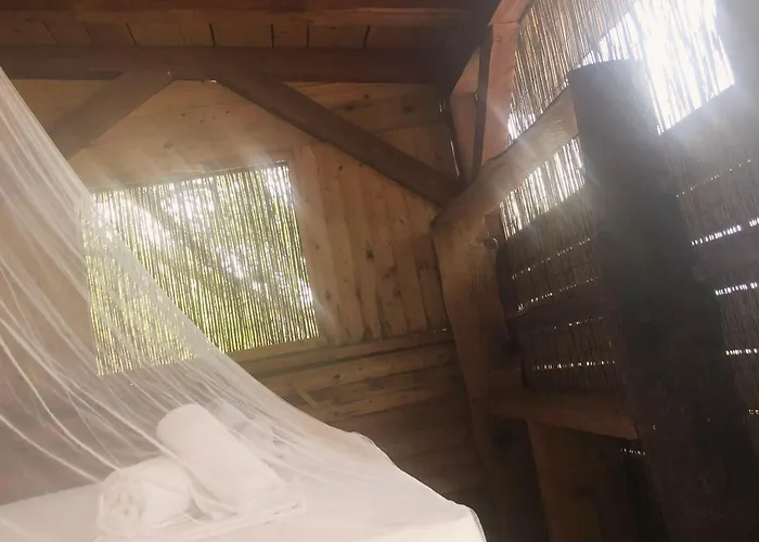 캠프장 Marusina Olive Hills - Glamping & Minicamp