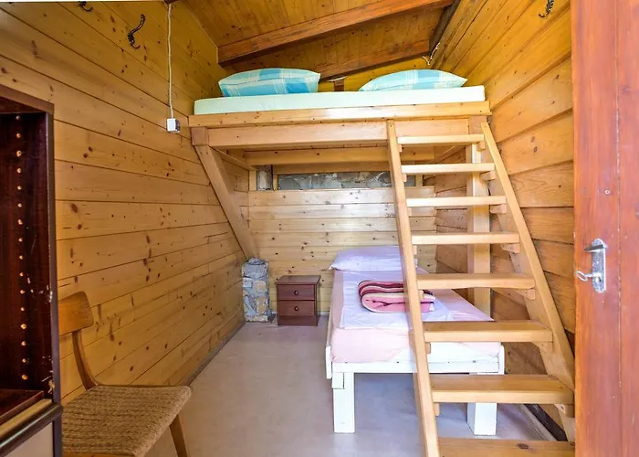 Marusina Olive Hills - Glamping & Minicamp 푸나트