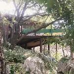 אתר קמפינג Marusina Olive Hills - Glamping & Minicamp 4*