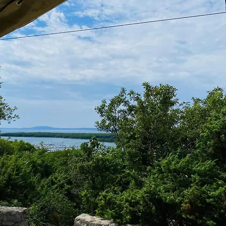Marusina Olive Hills - Glamping & Minicamp Campingplads 4*