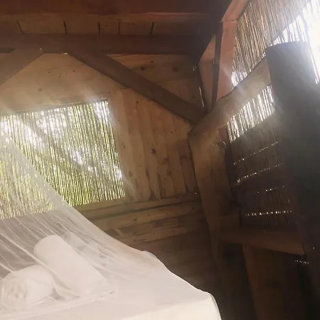 Kamp alanı Marusina Olive Hills - Glamping & Minicamp