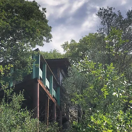 Marusina Olive Hills - Glamping & Minicamp אתר קמפינג 4*