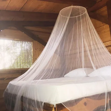 Marusina Olive Hills - Glamping & Minicamp Campingplads Punat
