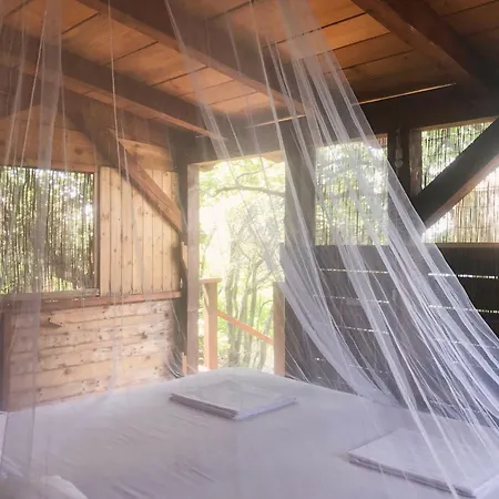 Marusina Olive Hills - Glamping & Minicamp Campingplads 4*