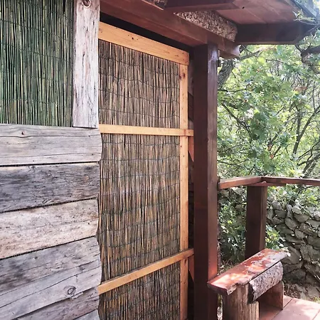 אתר קמפינג Marusina Olive Hills - Glamping & Minicamp פונאנט