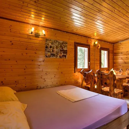 Marusina Olive Hills - Glamping & Minicamp Campingplads Punat