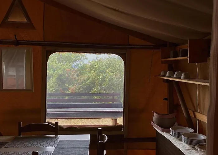 Marusina Olive Hills - Glamping & Minicamp 4* Punat