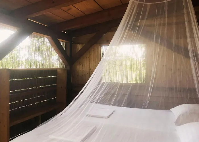 Marusina Olive Hills - Glamping & Minicamp 4* Punat