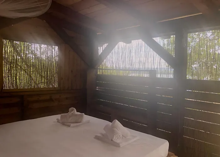 Marusina Olive Hills - Glamping & Minicamp 4* Punat