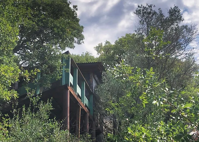Marusina Olive Hills - Glamping & Minicamp Campingplatz 4*
