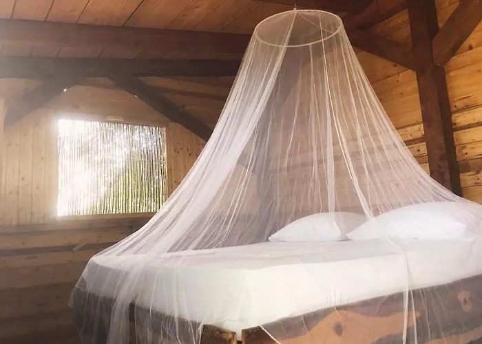 Marusina Olive Hills - Glamping & Minicamp Campingplatz Punat