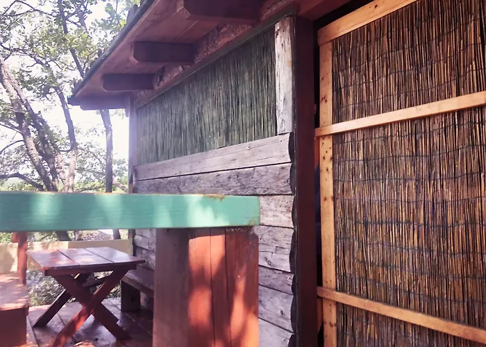 Marusina Olive Hills - Glamping & Minicamp 4* Punat