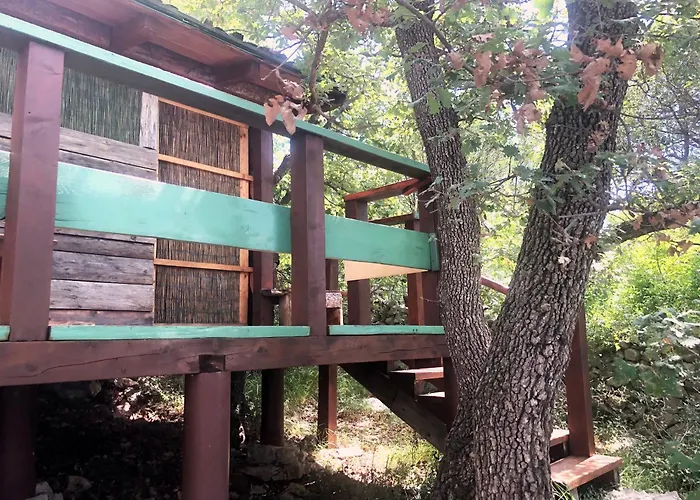 Marusina Olive Hills - Glamping & Minicamp 4* Punat