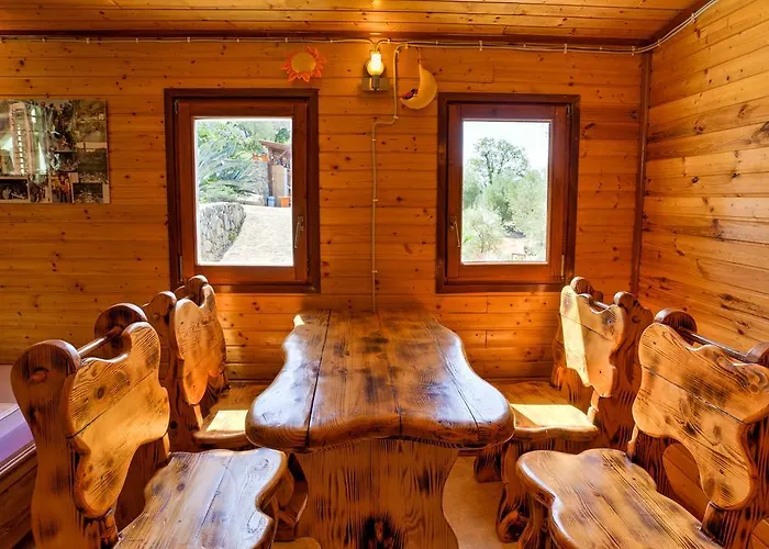 Marusina Olive Hills - Glamping & Minicamp