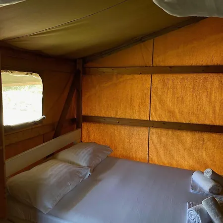 Marusina Olive Hills - Glamping & Minicamp