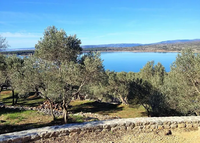 Marusina Olive Hills - Glamping & Minicamp